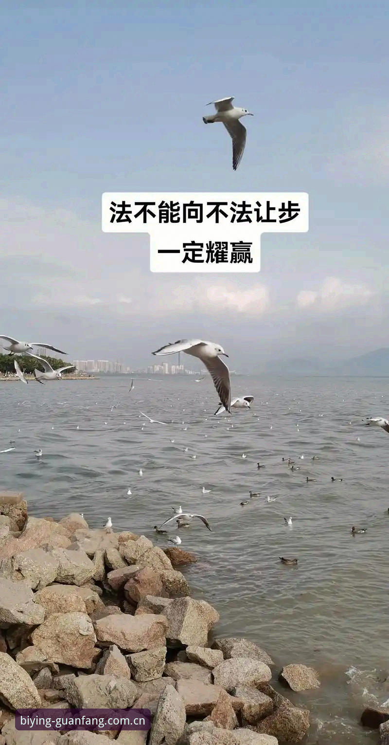 必赢平台最新版本常见问题 必赢平台最新版本常见问题排查教程:必赢体育平台从安装到流畅使用的创新操作指南
